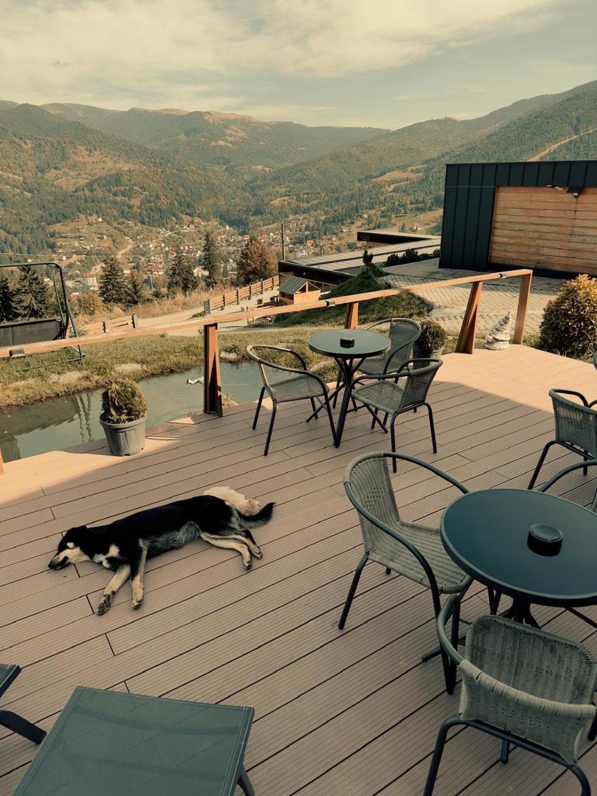 בורסא Panoramic Residence מראה חיצוני תמונה